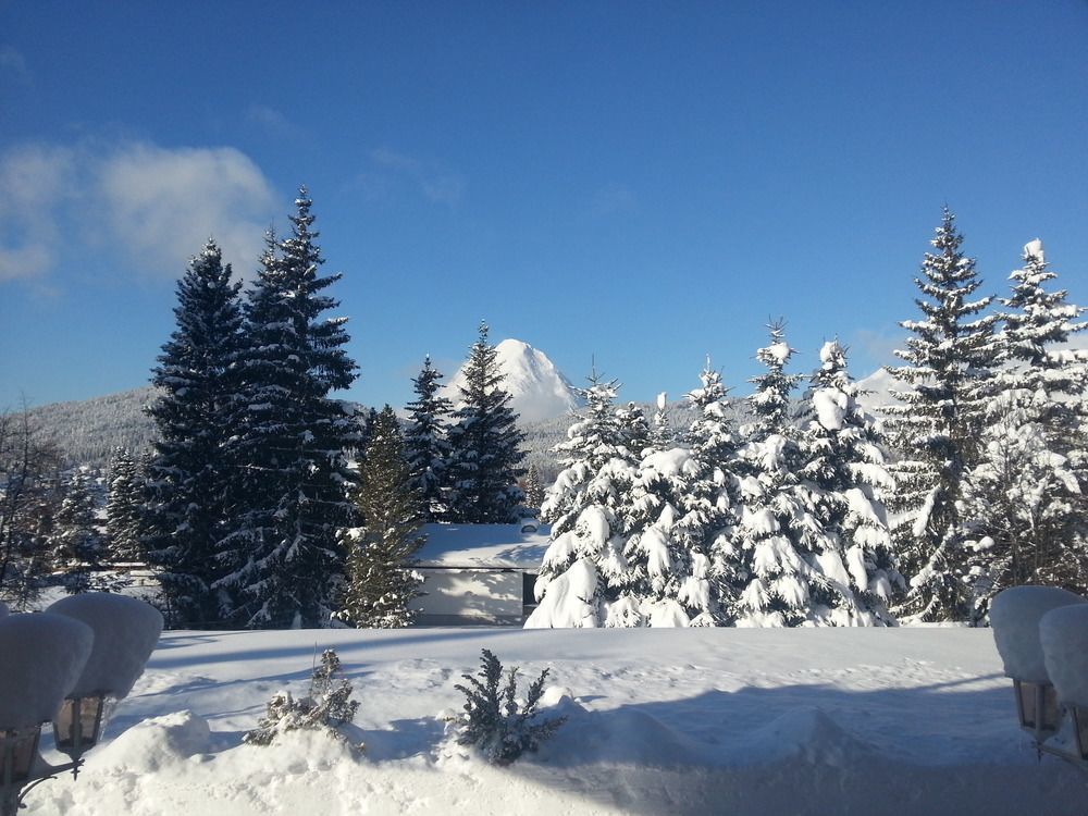 Waldhotel Seefeld 蒂罗尔-泽费尔德 外观 照片